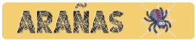 Arañas 1